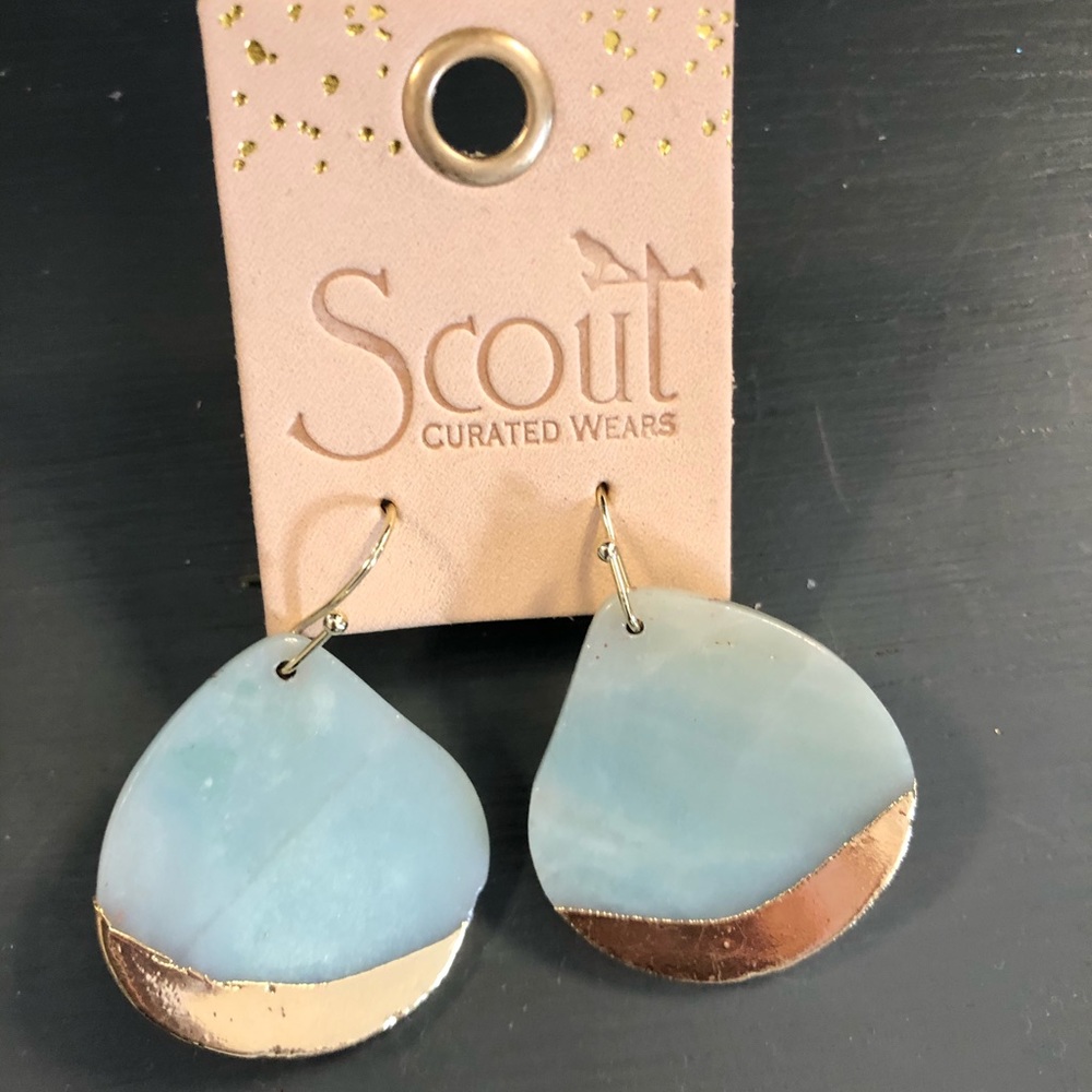NWT Amazonite earrings